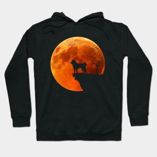 Moon And Akita Silhouette Hoodie